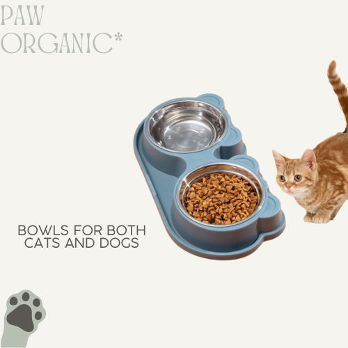 Double Dog Bowls