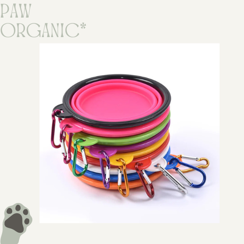 Folding Bowl